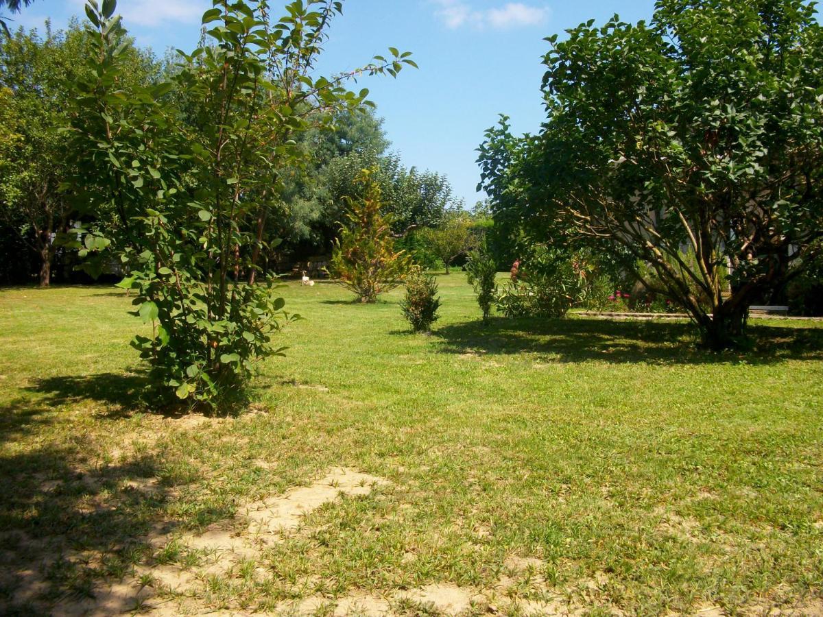 Domaine De Monein Bed and Breakfast Saint-André-de-Cubzac Exteriör bild