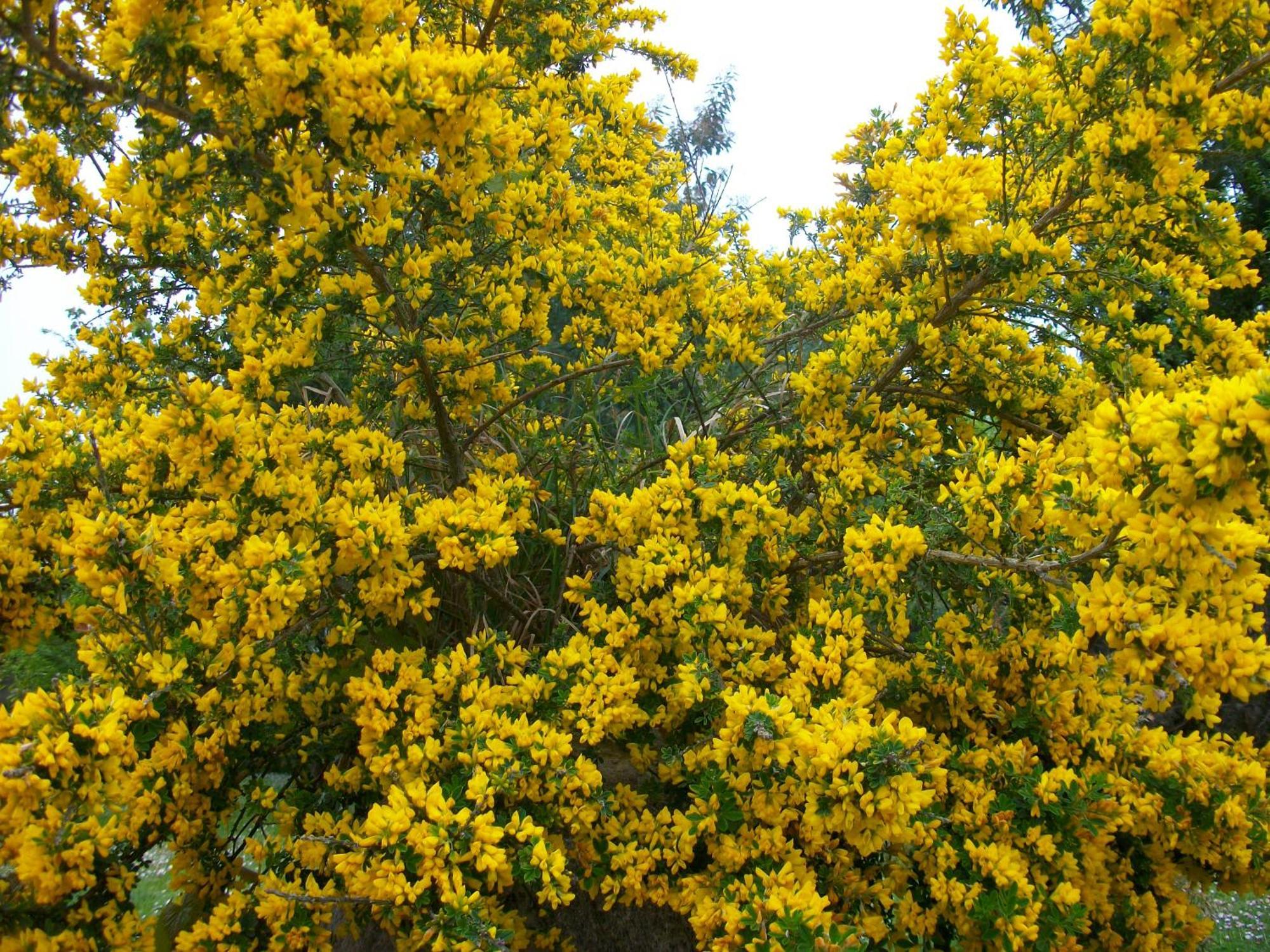 Domaine De Monein Bed and Breakfast Saint-André-de-Cubzac Exteriör bild