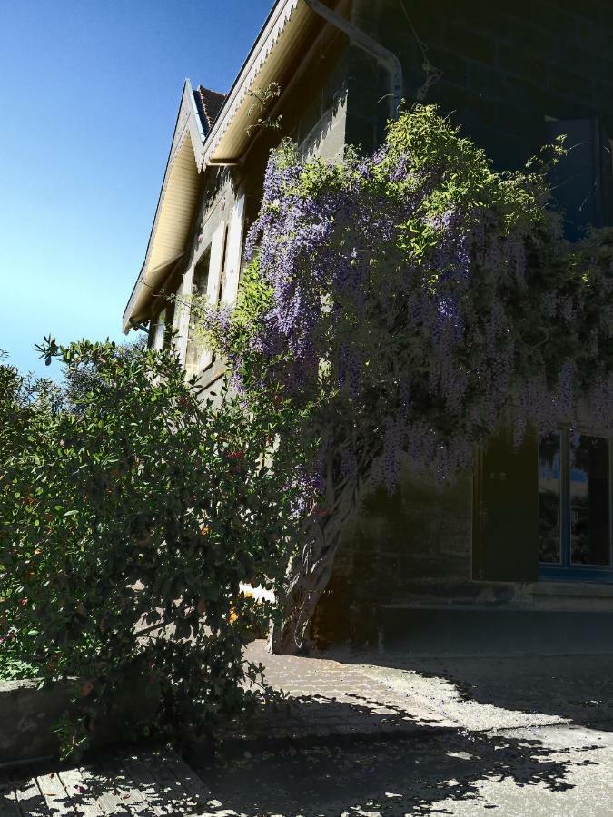 Domaine De Monein Bed and Breakfast Saint-André-de-Cubzac Exteriör bild